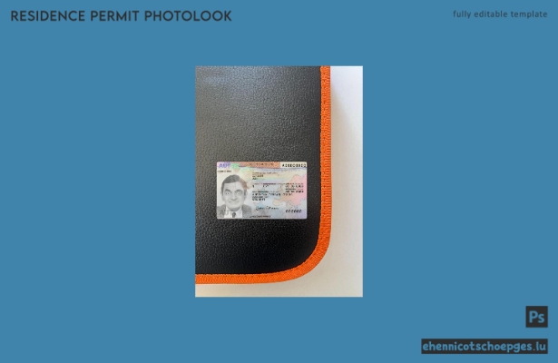 Österreichische Aufenthaltserlaubnis 2023-heute – Beispielansicht